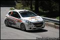 32 Peugeot 208 VTI R2 M.Giannini - F.Tredici (6)